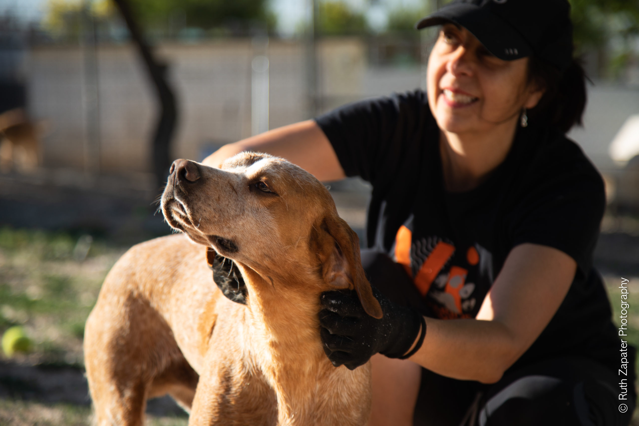 Voluntarios Itinerantes en ASPA