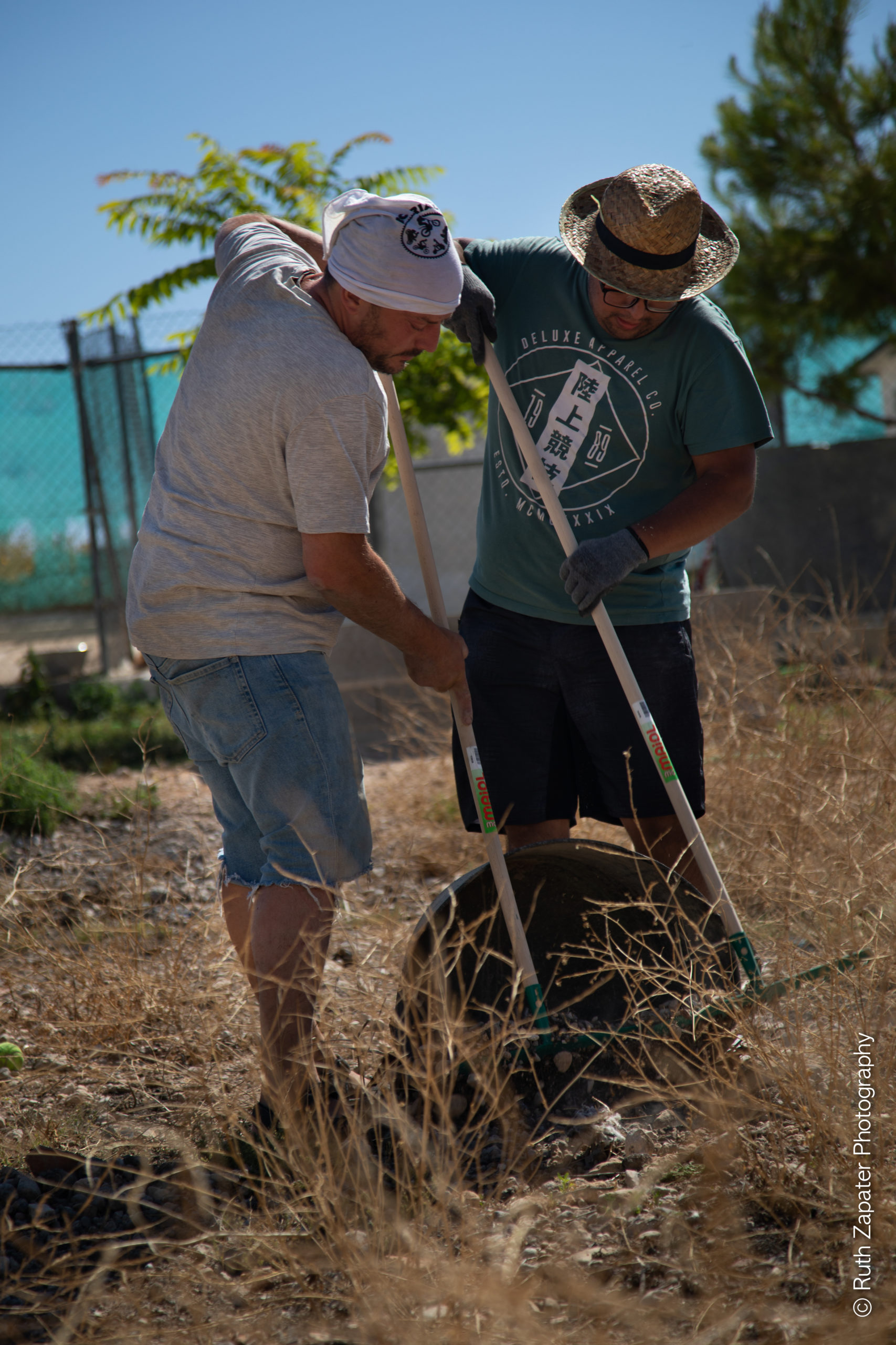 Voluntarios Acción Animal Protectoras Animales