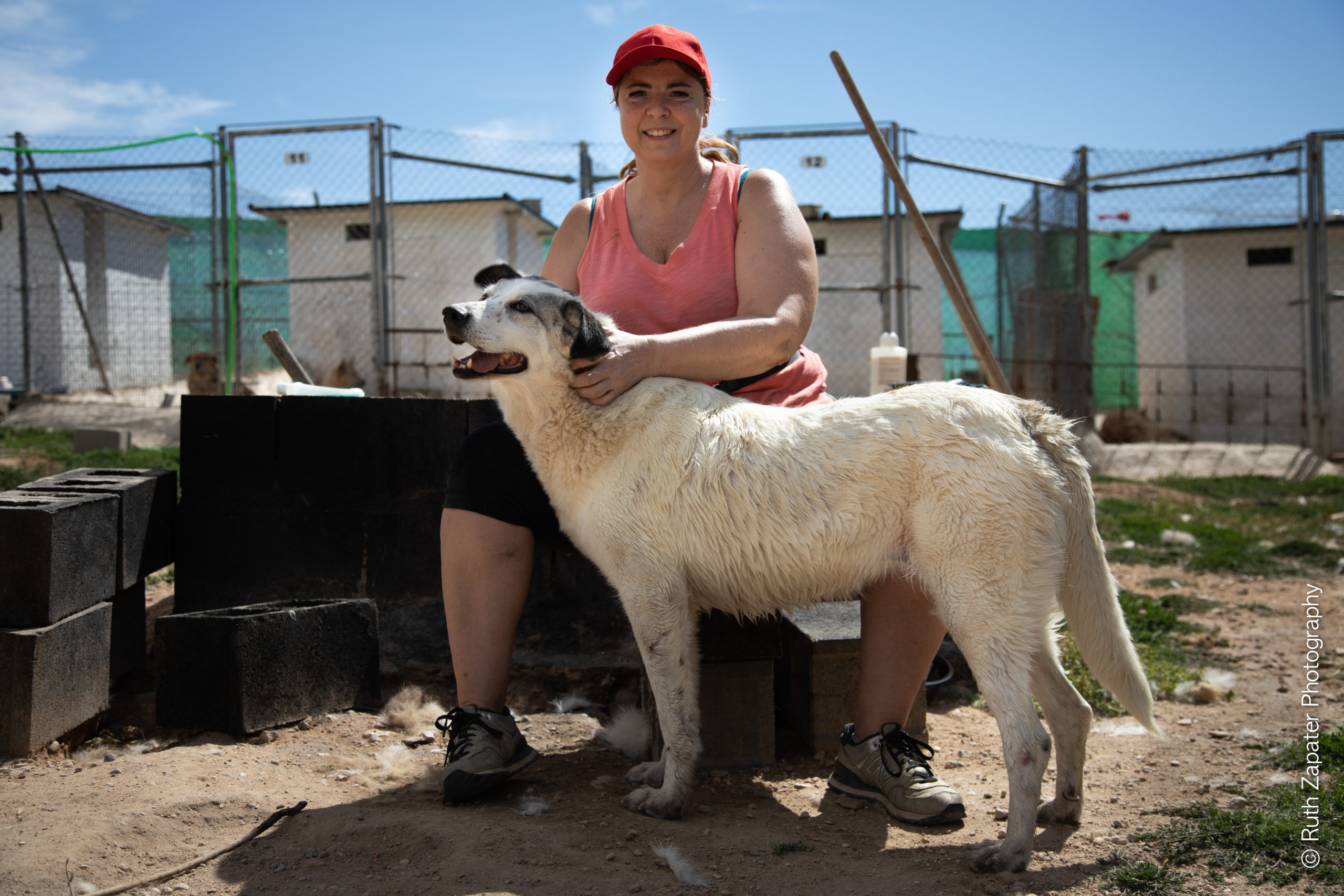 Voluntarios Refugios animales