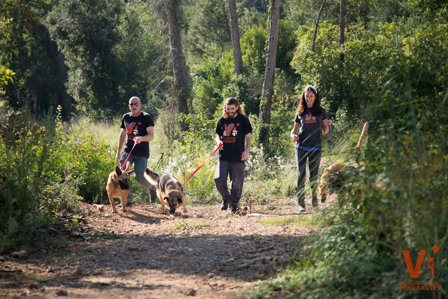 Voluntarios Itinerantes Protectora Animal Animals Sense Sostre