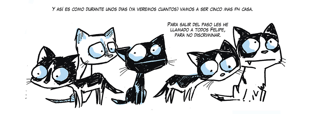 gatos-comic-diario-de-un-refugio-fonollosa-perro-protectora-1