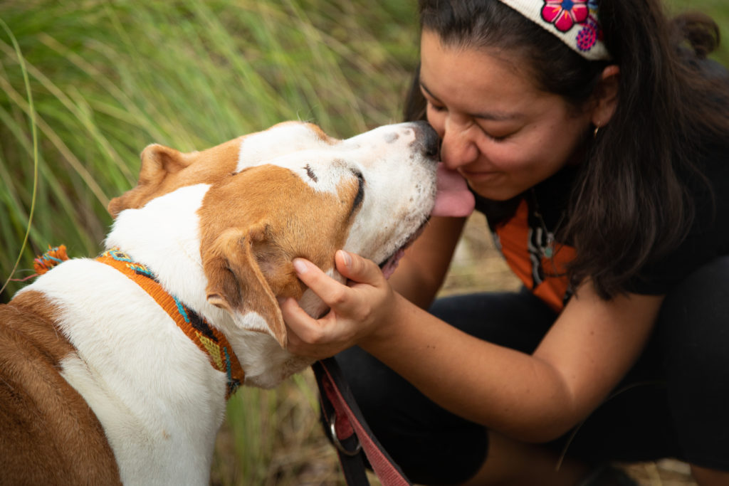 La alegría de un perro