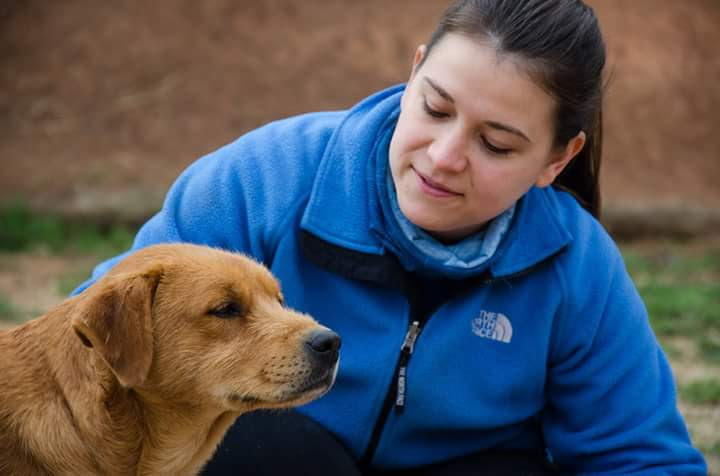 Adoptar a un perro en España