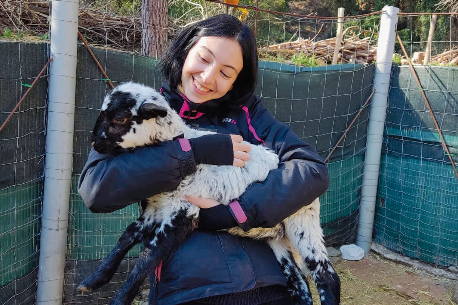 Santuario Buena Vida Voluntarios Itinerantes